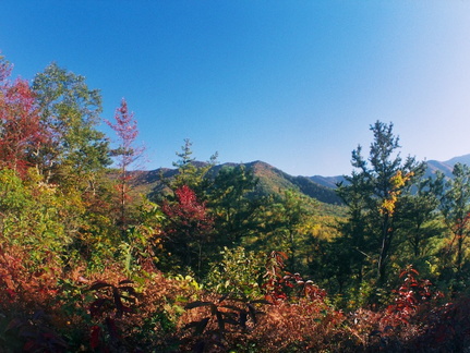 Lower Mt. Cammerer Trail